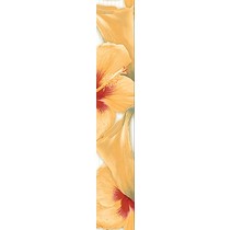 Halcon Ceramicas Pasion Pasion Listello 2 Amarillo