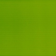 Напольная плитка Halcon Ceramicas Pasion Prisma Pistacho