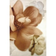 Декор Halcon Ceramicas Romance-Anais Romance Anais Crema