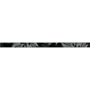 Бордюр Halcon Ceramicas Specchio L.Specchio-2 Negro