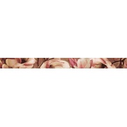 Бордюр Ibero Charme Cenefa Magnolia
