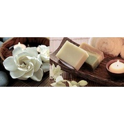 Декор Ibero Charme Décor Natural A