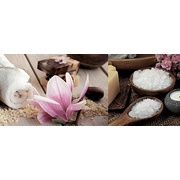 Декор Ibero Charme Décor Natural B