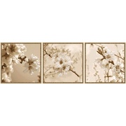 Декор Ibero Next Décor Bloom -b