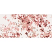 Декор Ibero Poeme Decor Jasmine Cayenne-A/B/C S-51 (25x75)