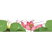 Бордюр Infinity Ceramic Tiles Lotus Cenefa