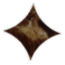 Infinity Ceramic Tiles Villa Ritz Emperador Octagonal Taco Marron