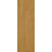 Напольная плитка Italon Greenlife Rovere Матовый