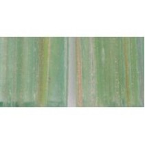 Jnj Aurora 04-439