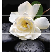 Декор Keraben Dream Calas, Lirio, Flor Blanca Decor (3 pz)
