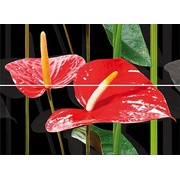 Декор Keraben Dream Calas, Lirio, Flor Rojas Decor (2 pz)