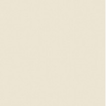 Kerama Marazzi Арена TU600100R Бежевый обрезной Неполированная