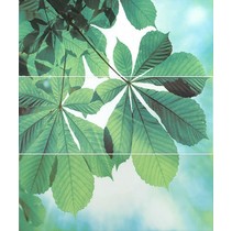 Kerama Marazzi Читара STG\A375\3x\7000 комплект из 3 плиток