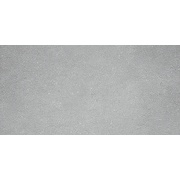 Настенная плитка Kerama Marazzi Дайсен светло-серый SG211200R