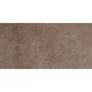 Настенная плитка Kerama Marazzi Дайсен SG207600R коричневый обрезной