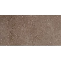Kerama Marazzi Дайсен SG207600R коричневый обрезной
