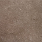 Напольная плитка Kerama Marazzi Дайсен SG602600R коричневый обрезной Неполированная