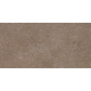 Настенная плитка Kerama Marazzi Дайсен SG211400R