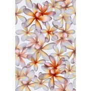 Настенная плитка Kerama Marazzi Эйвон 8243 Цветы