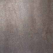 Напольная плитка Kerama Marazzi Эльсинор DP600302R Темный Лаппатированный Полированная