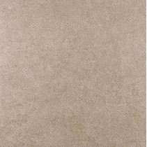 Kerama Marazzi Фьорд DP603900R Светло-табачный обрезной Неполированная