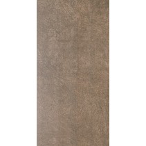 Kerama Marazzi Королевская дорога SG216900R Коричневый Обрезной