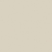 Напольная плитка Kerama Marazzi Креп TU100301R Жемчужный Полированный