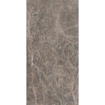 Kerama Marazzi Манчестер SG216402R Коричневый лаппатированный