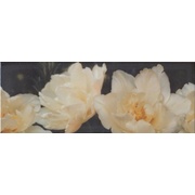 Декор Kerama Marazzi Ноттингем STG\A393\15050 Тюльпан