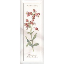 Kerama Marazzi Ноттингем NT\A87\15005 цветы грань