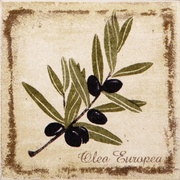 Декор Kerama Marazzi Прованс A1912\1221T