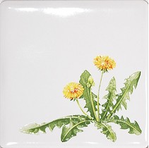 Kerama Marazzi Сезоны A1840\1236 Одуванчик