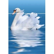 Панно Keros Aquarelle Swan A/B/C/D