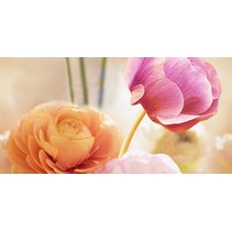 Belleza Касалея Бежевый (10-05-11-797-0)