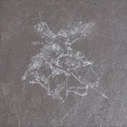 Декор La Fabbrica Ceramiche Pietra lavica Aquila Nebula