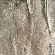Напольная плитка La Fabbrica Ceramiche Thrill Naturale Walnut 10-2