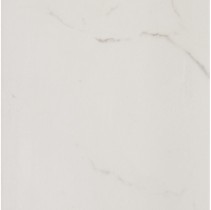 La Faenza Monoceram Collection STATUARIO 50LP