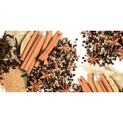 Панно Lasselsberger (LB-Ceramics) Spices 1608-8606