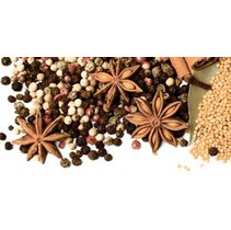 Lasselsberger (LB-Ceramics) Spices 1641-8615 Spices - 1