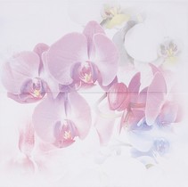 Уралкерамика Акварель ПН99