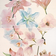 Панно Lasselsberger (LB-Ceramics) Белла 1604-0030 (2 плитки)