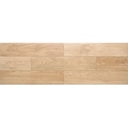Напольная плитка Lasselsberger (LB-Ceramics) Борнео Бежевый 6064-0009