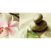 Декор Lasselsberger (LB-Ceramics) Stone 1641-8610 Stone - 2
