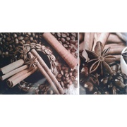 Декор Lasselsberger (LB-Ceramics) Vanilla Cofe 1641-8605 Vanilla Cofe - 1