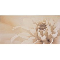 Latina ceramica Irina Dec. Marengo