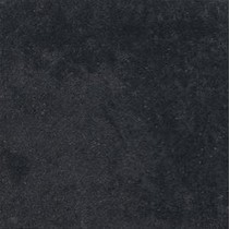 Leonardo Genesy Nero Lp