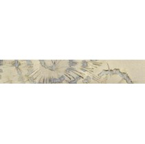 Leonardo Ile De La Cite Listello Nautilus Bi T