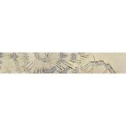 Декор Leonardo Ile De La Cite Listello Nautilus Bi T