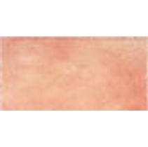 Leonardo Materie Rosse 15x30