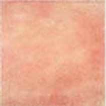 Leonardo Materie Rosse